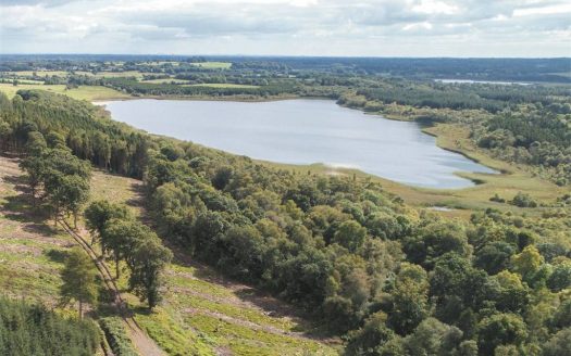 Knockdrin Castle – Mullingar, IRELAND. €5m