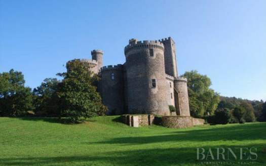 12th century medieval castle, completly restored, in the Périgord – France €21m