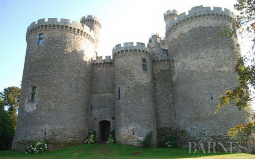 12th century medieval castle, completly restored, in the Périgord – France €21m