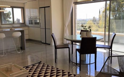 Beautiful Penthouse with Private Roof for SALE in Jerusalem, Rechavia – 6,690,152 ILS
